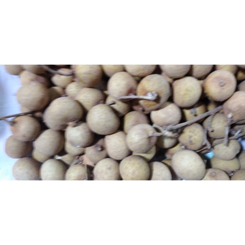 

BUAH LENGKENG KELENG Manis segar