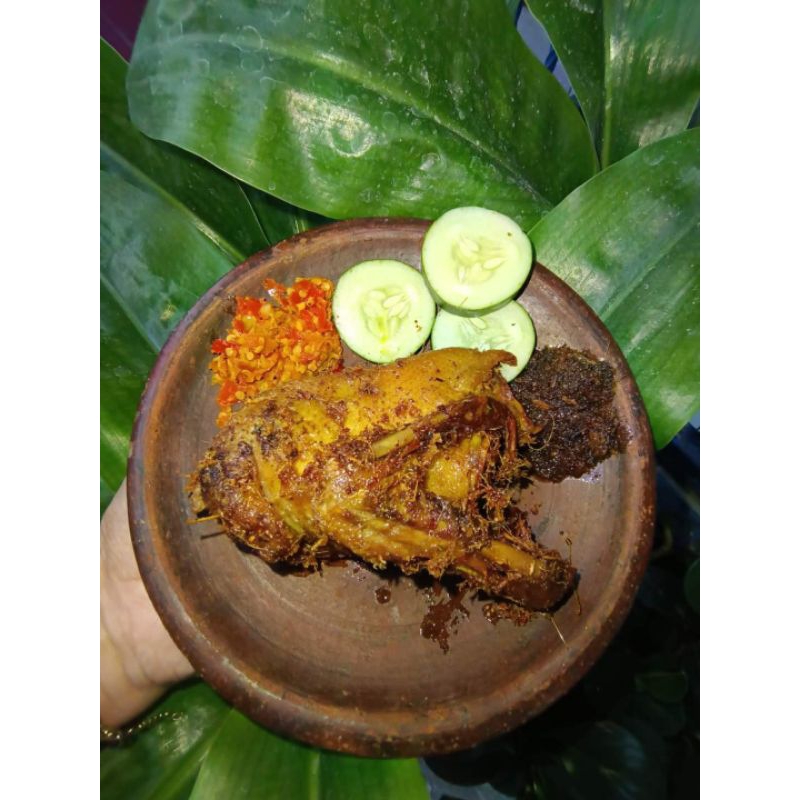 

Nasi Bebek