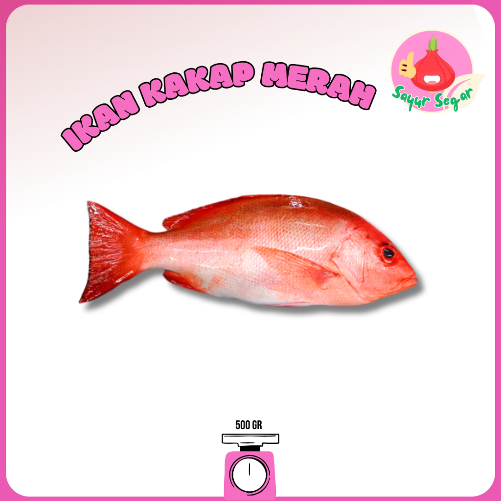 

Sayur Segar - Ikan Kakap Merah Segar/Red Snapper 500 gr
