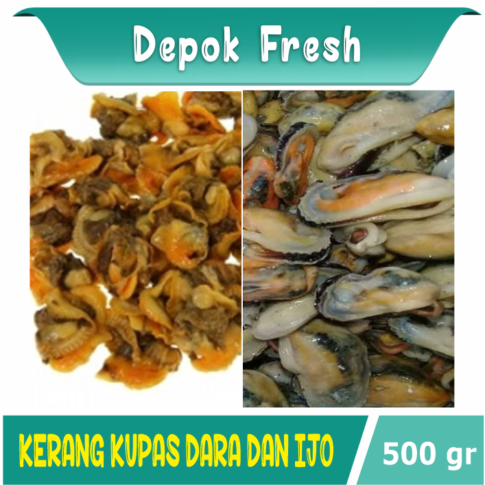 

KERANG KUPAS KERANG DARA/KERANG HIJAU SEAFOOD SEGAR