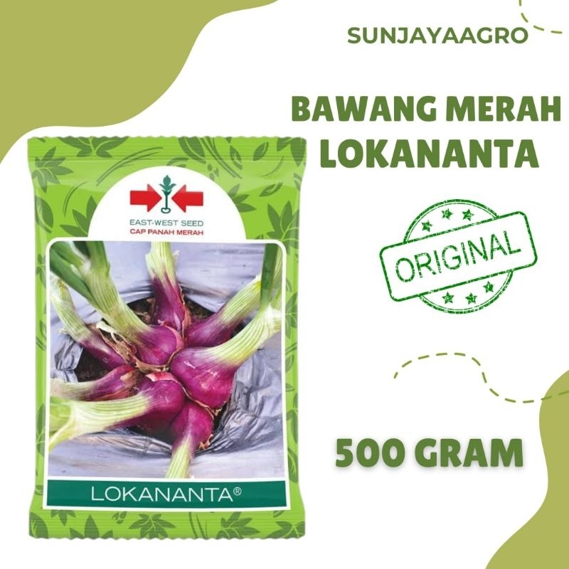 BENIH BAWANG MERAH LOKANANTA KEMASAN 500 GRAM PRODUK PANAH MERAH