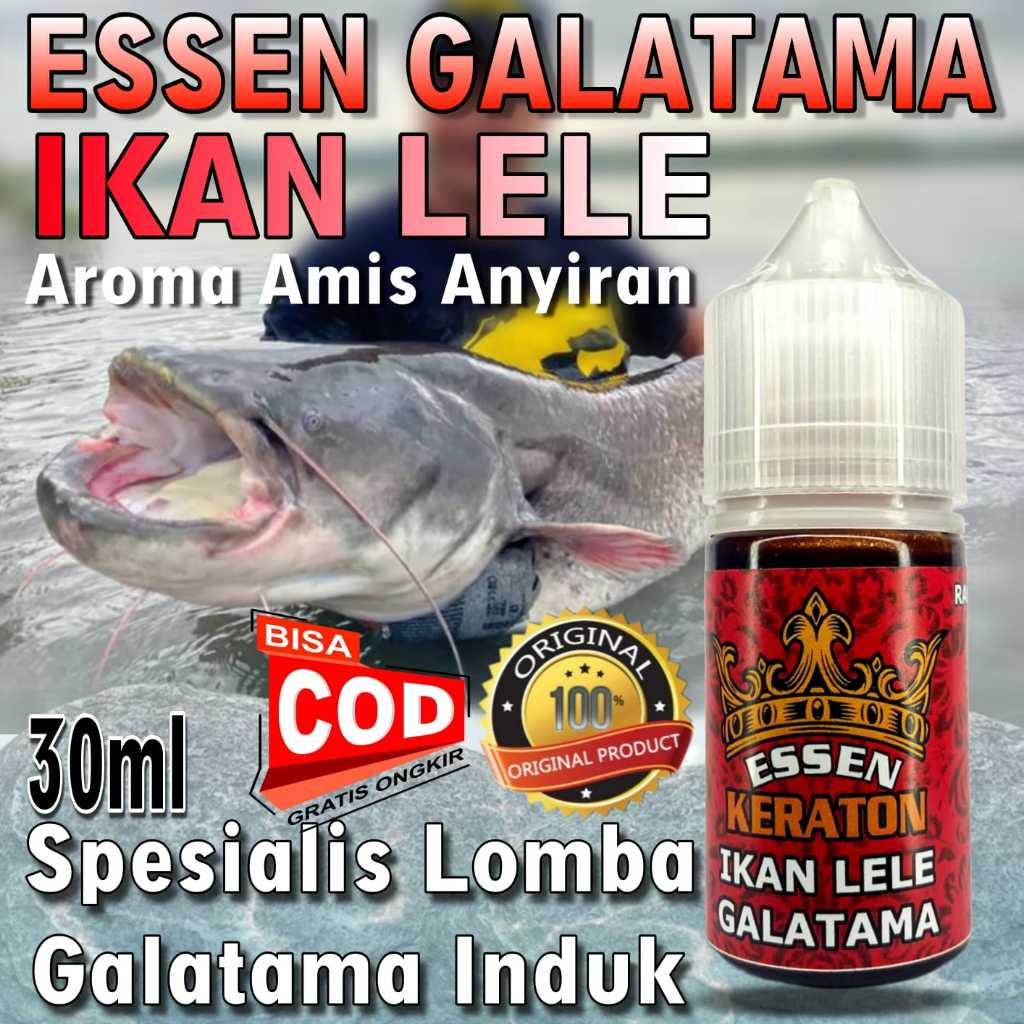 Essen khusus ikan lele galatama indukan paling ampuh Essen khusus ikan lele media alam dan olahan Es