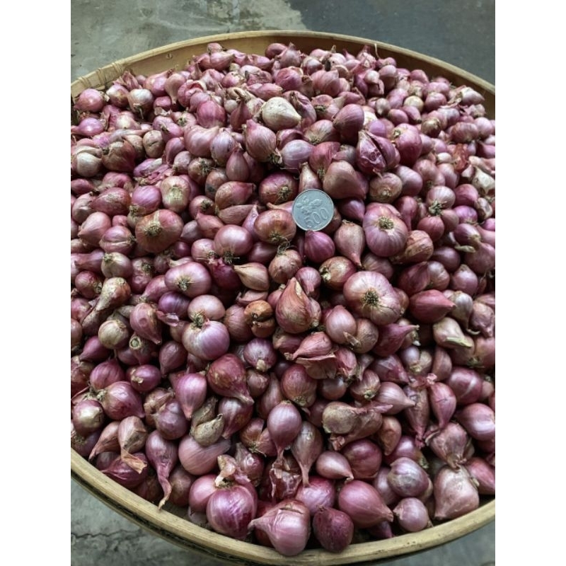

bawang merah super B campur 1kilo gram