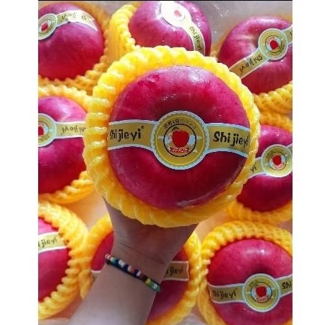 

Apel Jepang Jumbo Manis crunchy /1Buah