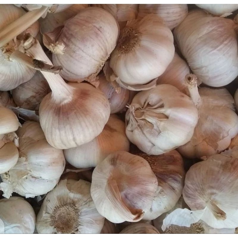 

Bawang Putih 1Kg