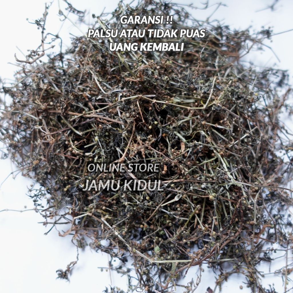 

Rumput Mutiara Kering 500gr Organik & Bersih