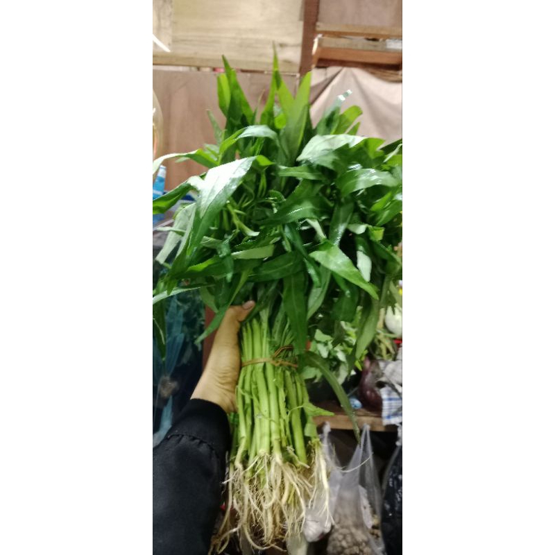 

kangkung 1 ikat