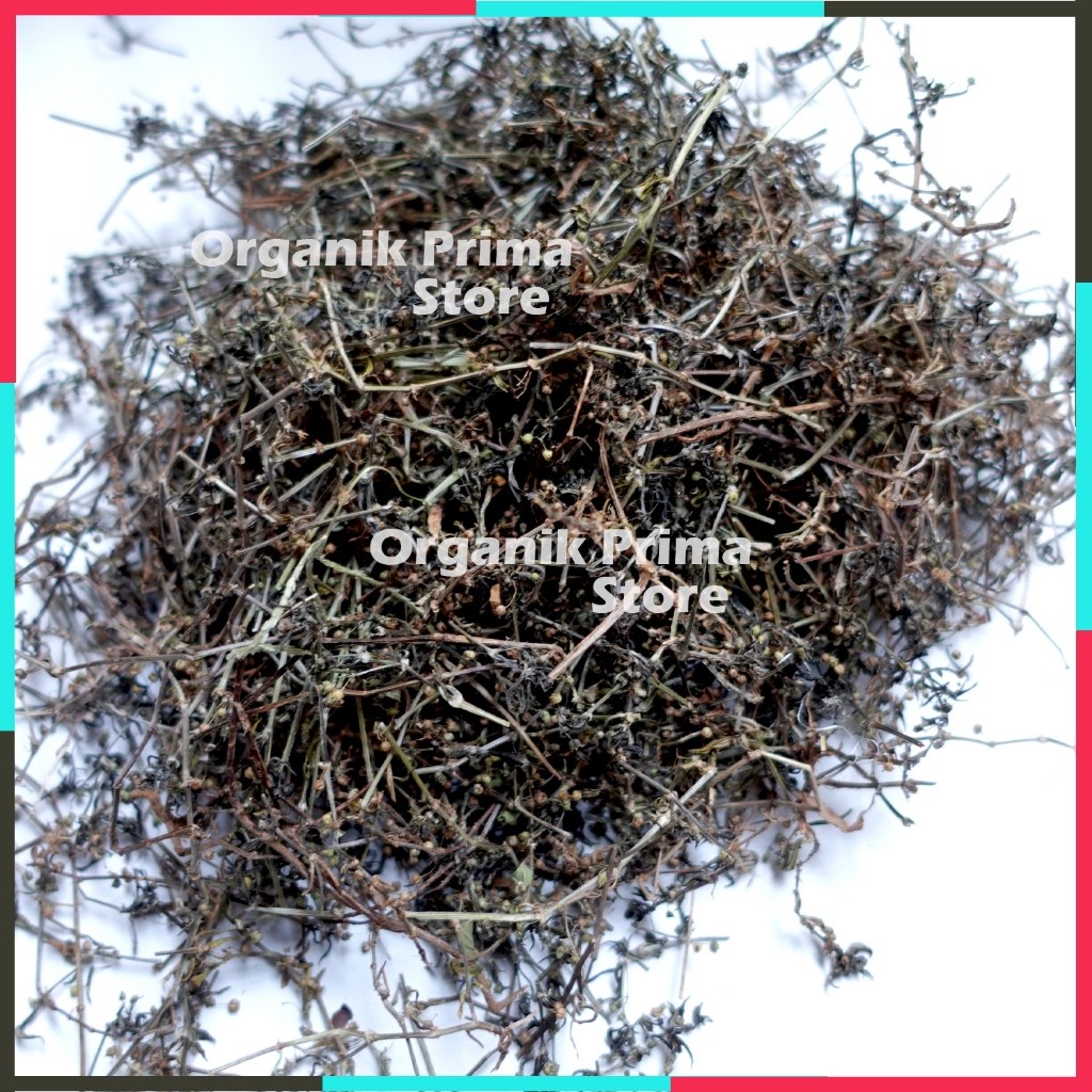 

Rumput Mutiara Kering 1kg - Organik Prima