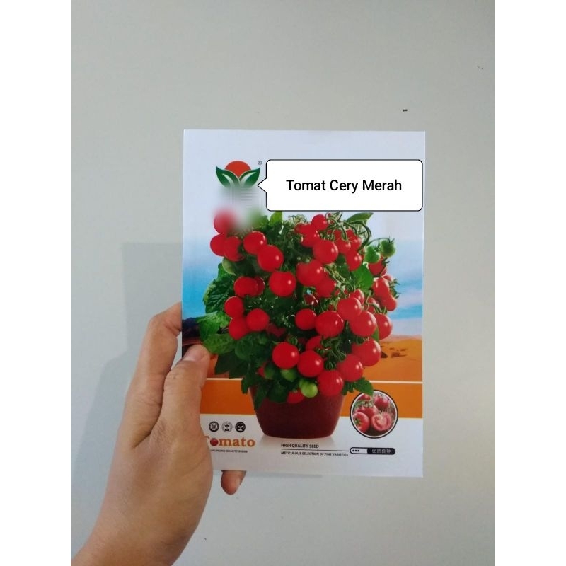 BENIH TOMAT HITAM/TOMAT CERY MERAH/TOMAT CERY KUNING/TOMAT TRICELA KEMASAN PREMIUM