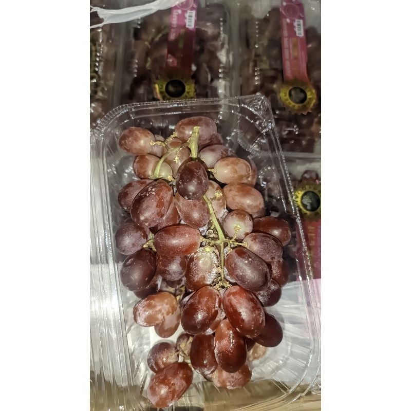 

anggur crimson non biji