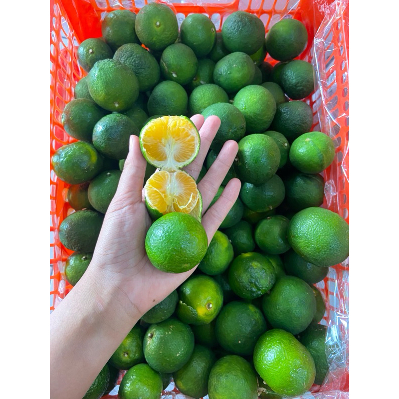 

900-1000gr (manis) buah jeruk shantang hijau greenchi burma mandarin daun import shantang daun santang birma shantang burma Yuji