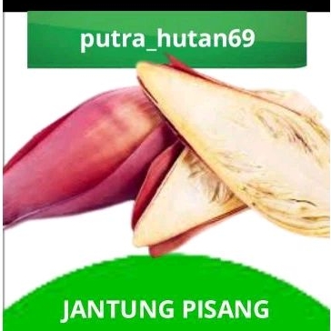 

JANTUNG PISANG FRESH