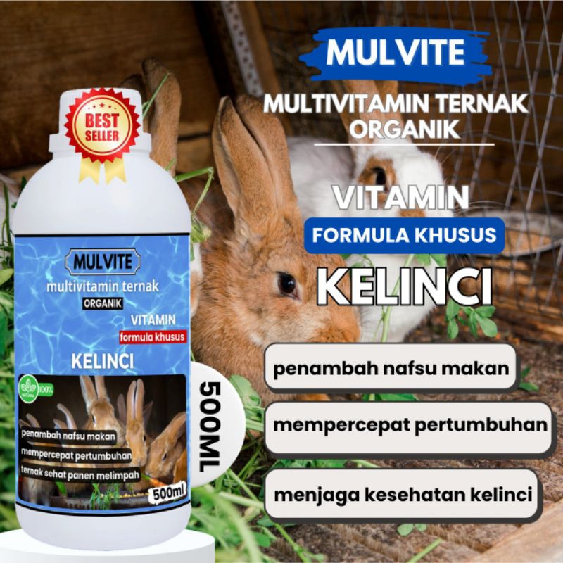 MULVITE Vitamin Probiotik Vitamin Suplemen Kelinci Hias Anggora Fuzzy Lop Holland Netherland Dwarf K