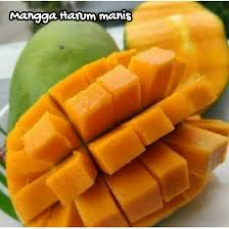 

PREMIUM!!! Mangga Harummanis Super 1kg