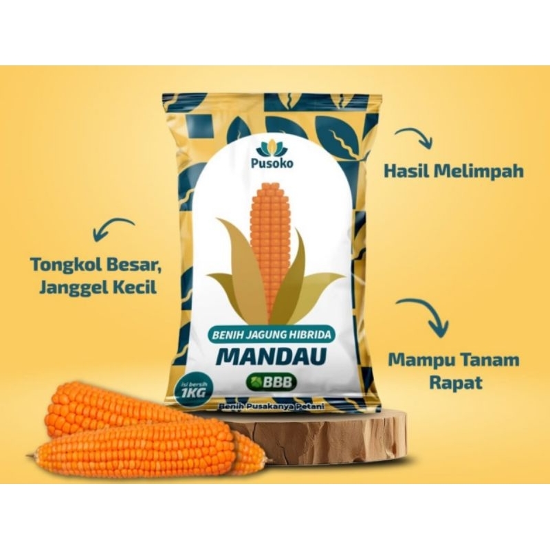 

benih jagung 250gram