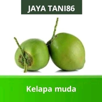 

KELAPA MUDA/DAWEGAN SEGAR HIJAU