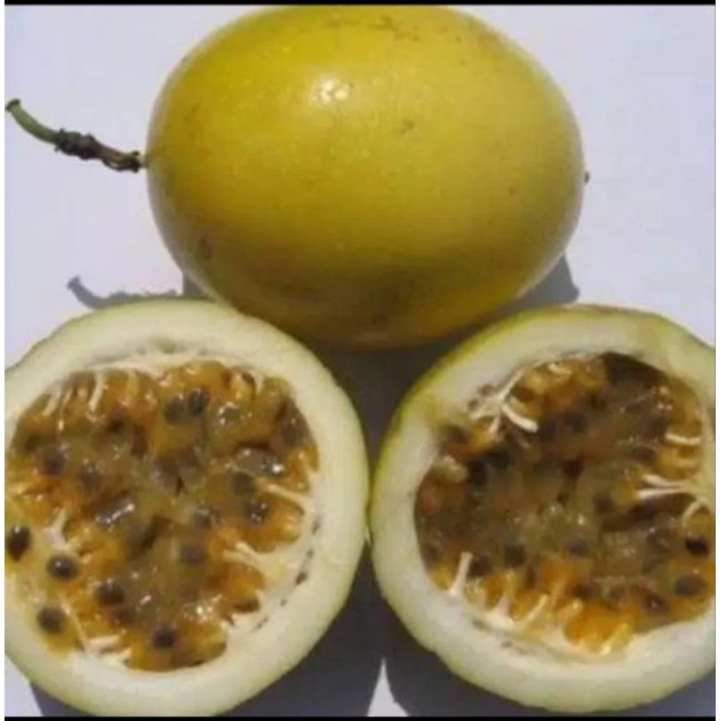 

Buah markisa asam manis segar kaya vitamin 1kg