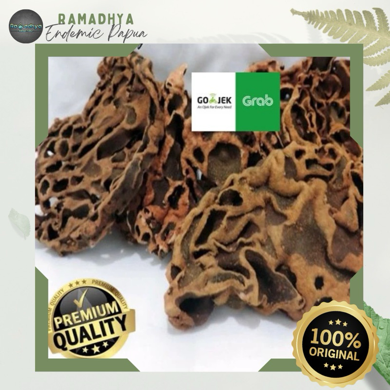Sarang Semut Asli Papua Original 100% sarang semut papua asli