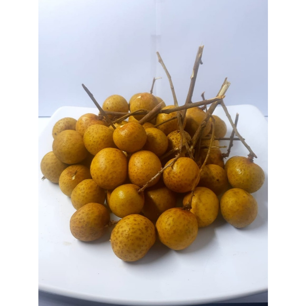 

Kelengkeng Bangkok Manis