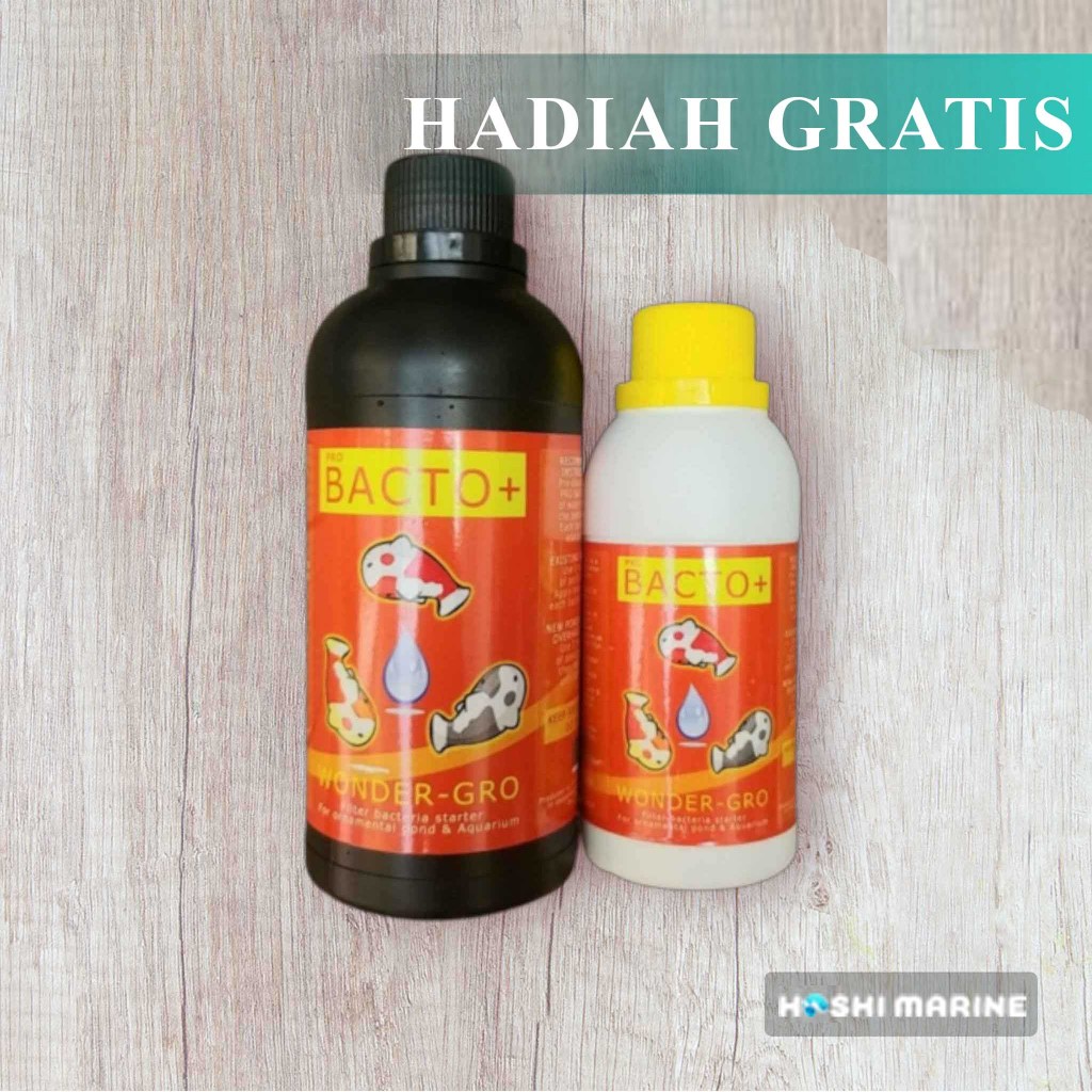 Bacto+ 250 ml Bakteri Starter Kolam Koi