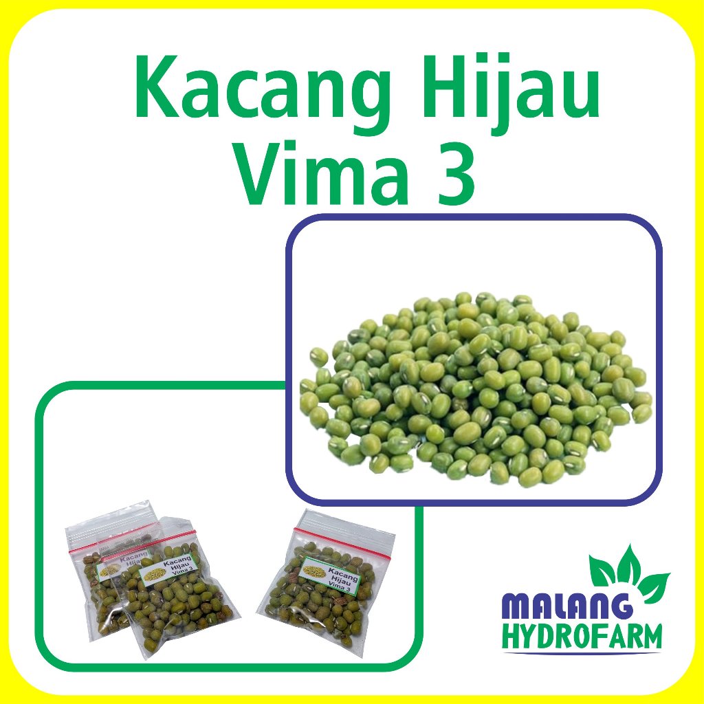 Benih Kacang Hijau Vima 3 Unggulan Berkualitas biji bibit repack tanah merah hydroponik hidroponik t