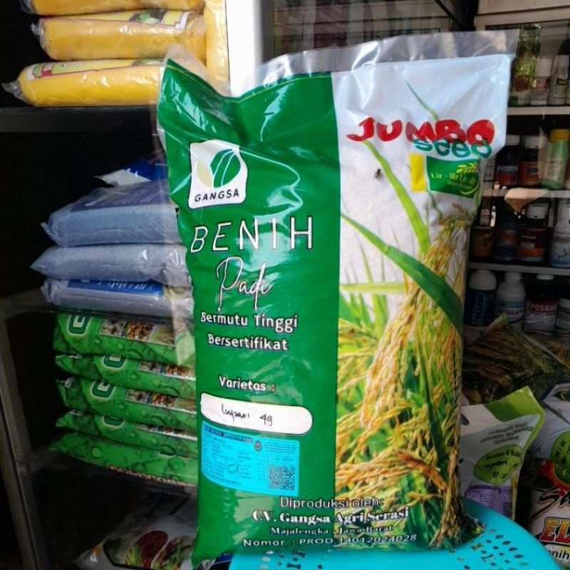 Benih Padi Unggul Terbaru INPARI 49 JEMBAR
