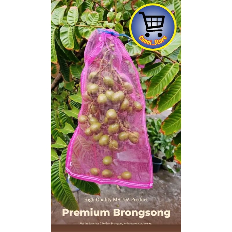 Brongsong Matoa,kelengkeng,jambu,mangga(MB)