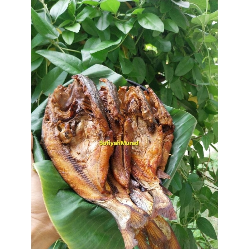 

Ikan Asap Sembilang 500 Gram