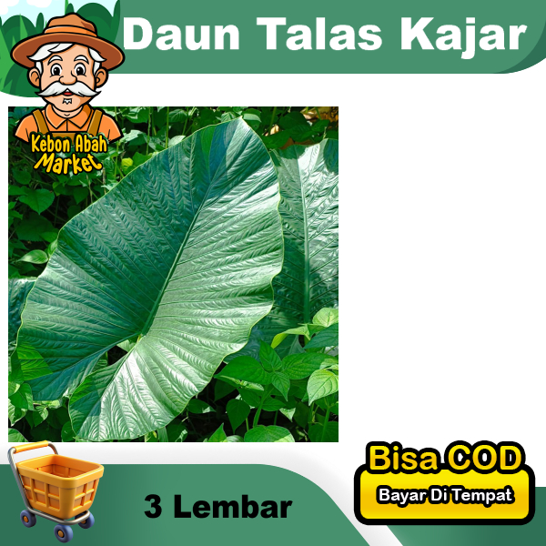 

Daun Talas Kajar Per 3 Lembar