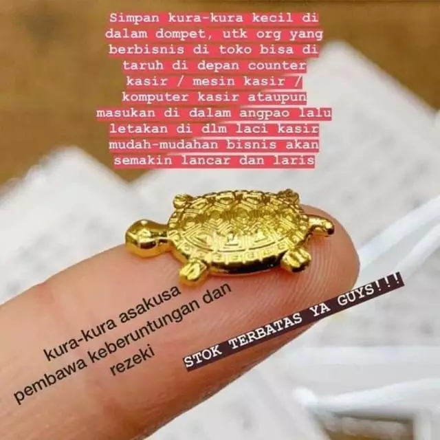 Kura2 pembawa keberuntungan & rejeki / kura kura legenda asakusa