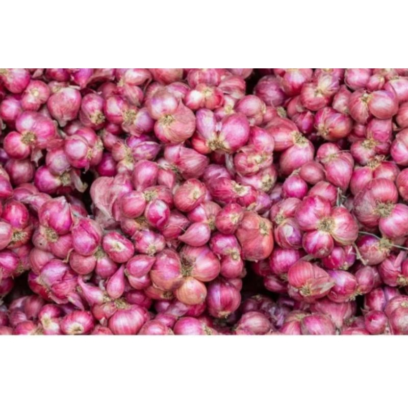 

BAWANG MERAH SUPER 1 KG