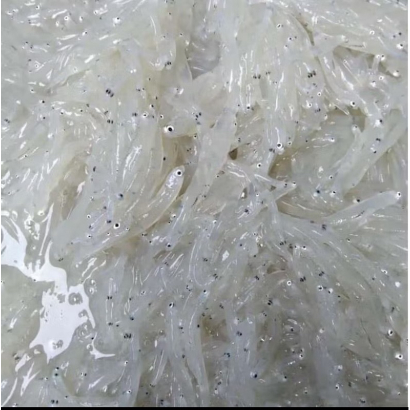 

Ikan teri basah MPASI 200gram