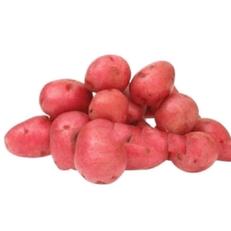 

Kentang merah 500-1000 gr