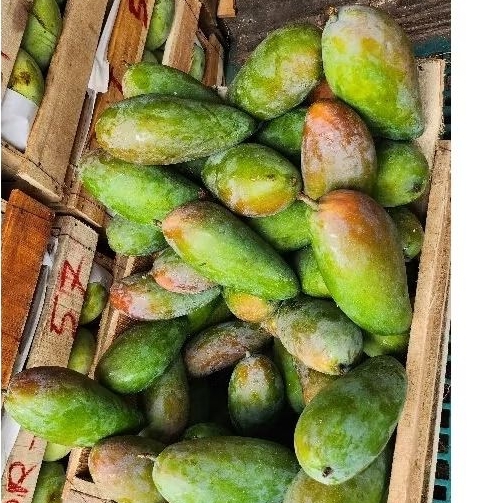 

Mangga Kiojay 1kg