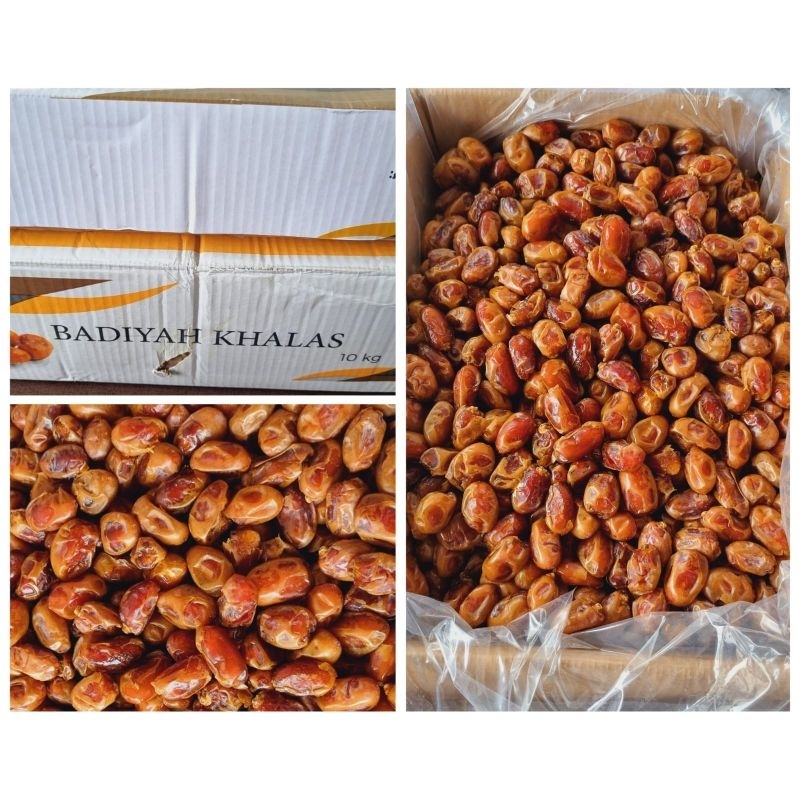 

kurma khalas badiah