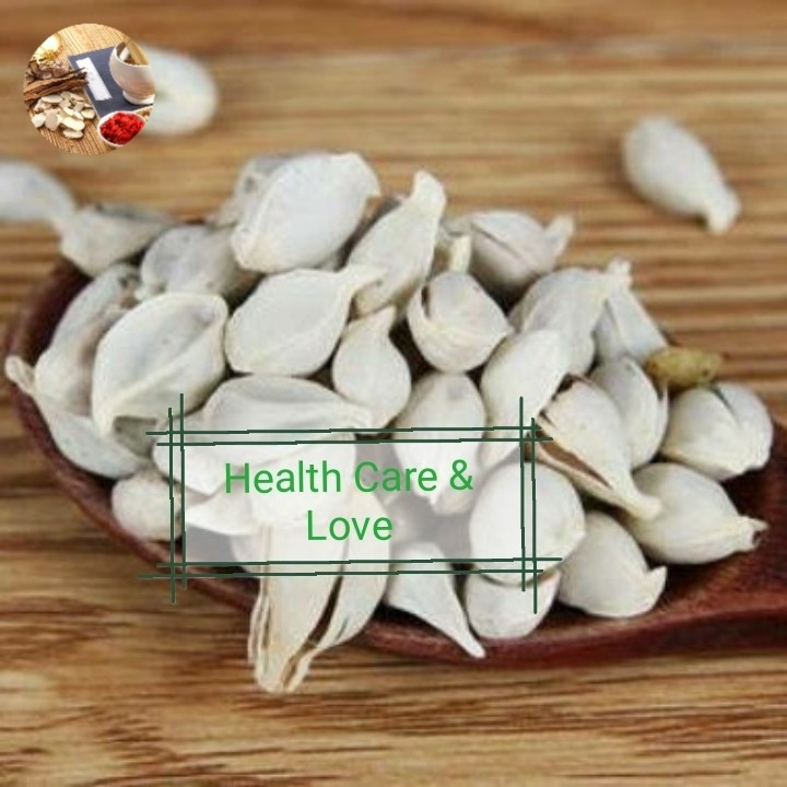 

Gan Ju He 柑橘核 Citrus Seed Citrus tangerine Seeds Semen Citri Reticulatae 50 Gr