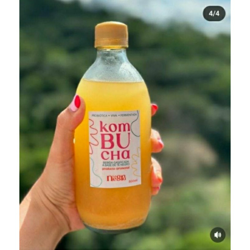 

kombucha 250 ml