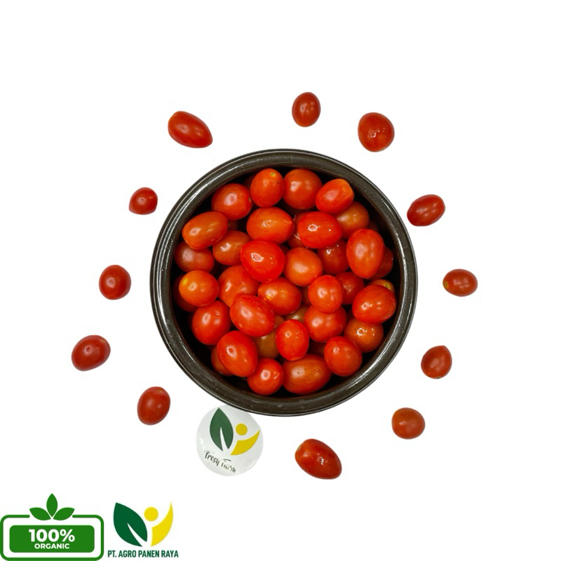 

SumberPanen Tomat Cherry Premium Fresh 250gr - 1KG