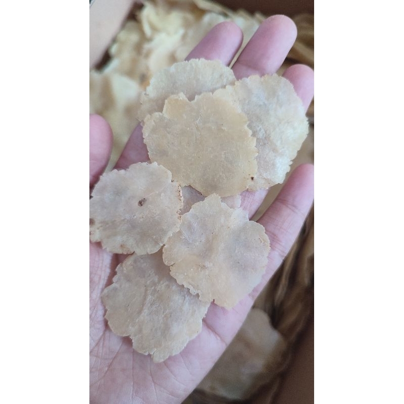 

Emping Melinjo biji 1 kemasan 5 Kg