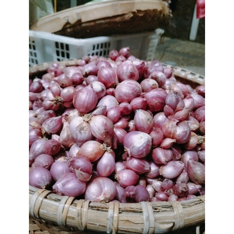 

bawang merah banyuwangi 1kg