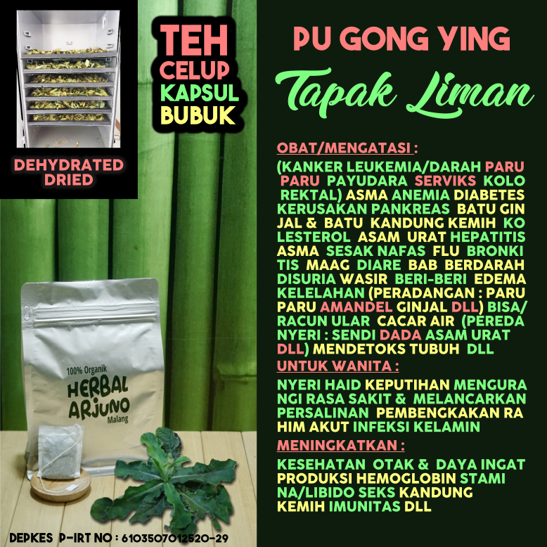 

Dehydrated Dried Teh Celup Kapsul Bubuk Daun Pu Gong Ying Tapak Liman Obat Kanker Darah Serviks Payudara Radang Paru Paru Asma Batu Ginjal Kandung Kemih Amandel Anemia Beri-Beri Hepatitis Asam Urat Kolesterol Keputihan Stamina Gairah Libido Herbal Alami