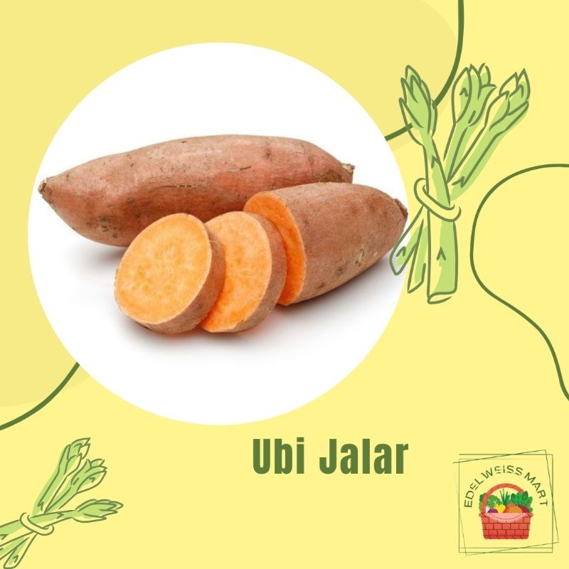 

UBI JALAR/UBI KUNING/UBI UNGU 1kg (FRESH) - INSTANT SEMARANG