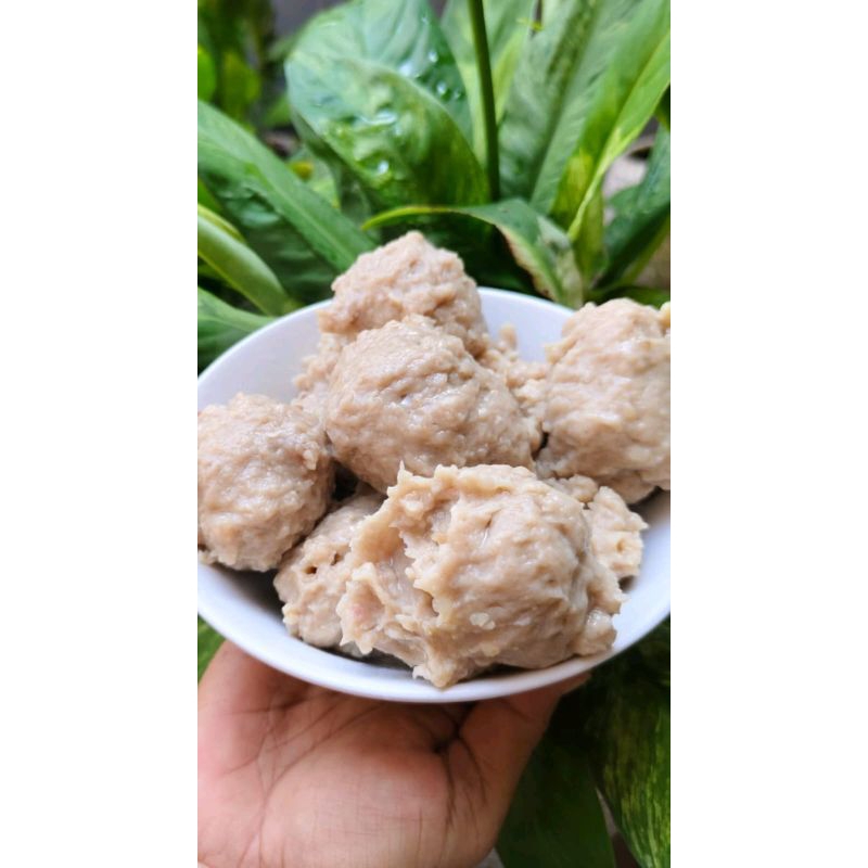 

pentolbaksosapiisigaje