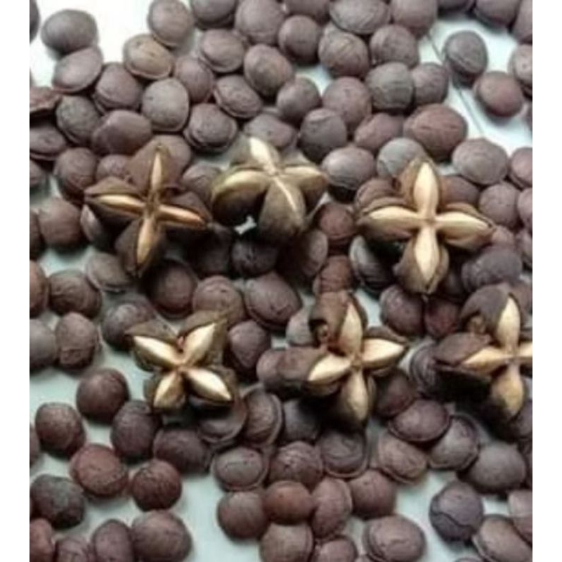 

kacang sacha inchi/bintang kering 1kg murah berkualitas