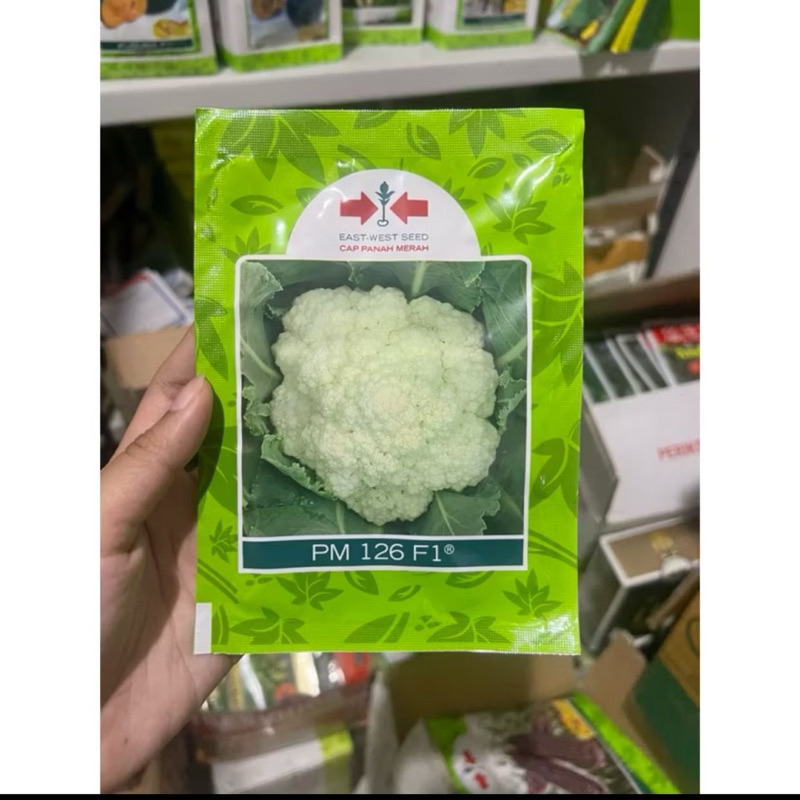 Benih bunga kol PM126 F1 10 gram bungkul hibrida pm 126 panah merah kembang kol pm126 f1