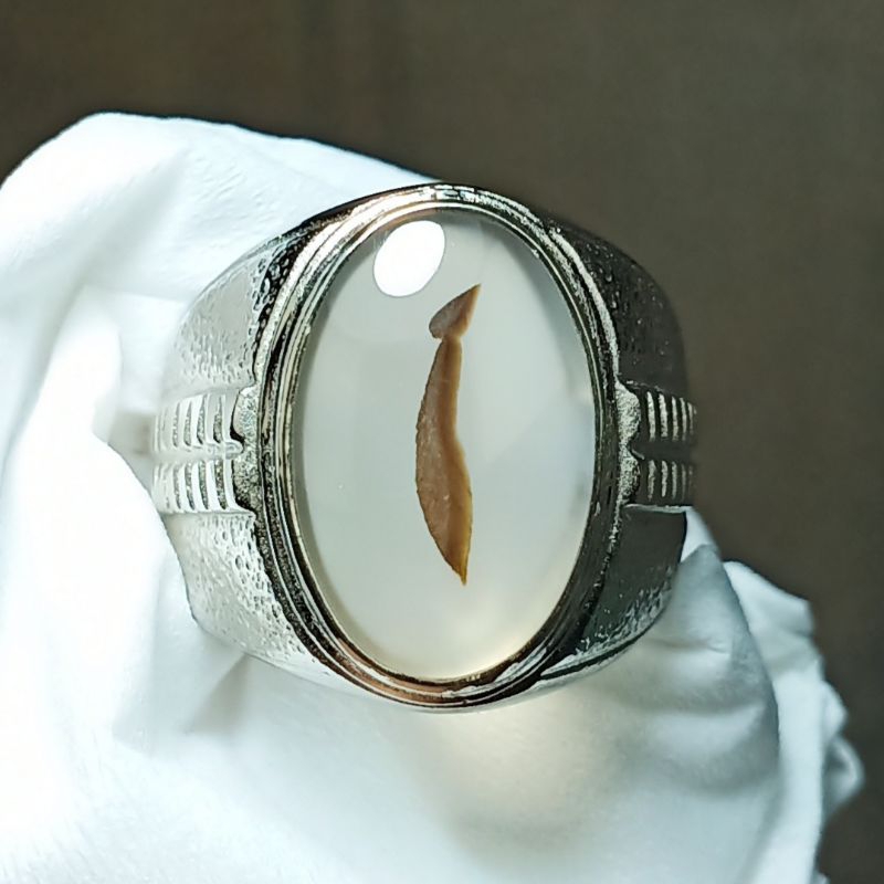 Batu Kristal Gambar Multitafsir - Dendrite Crystal Chalcedony. Bukan Batu Red Baron Pacitan Ijo Garu