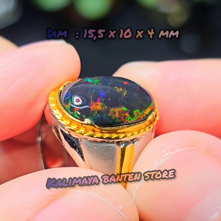 black opal banten kopi hitam jarong golebag