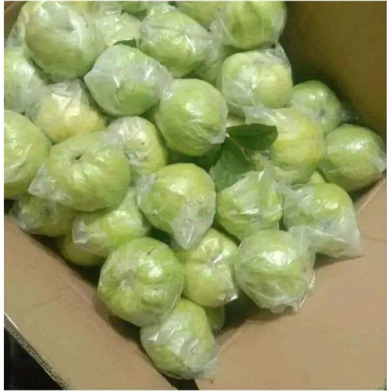 

Buah Murah 1 kg Jambu Kristal