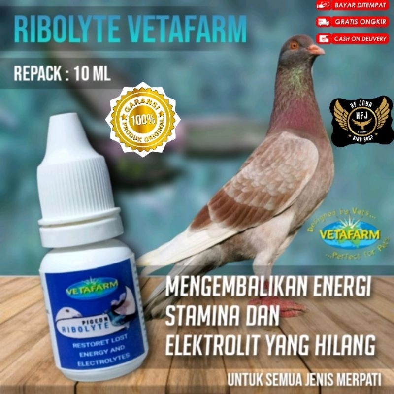 vetafarm rebolit rebolyte recharge suplemen merpati import