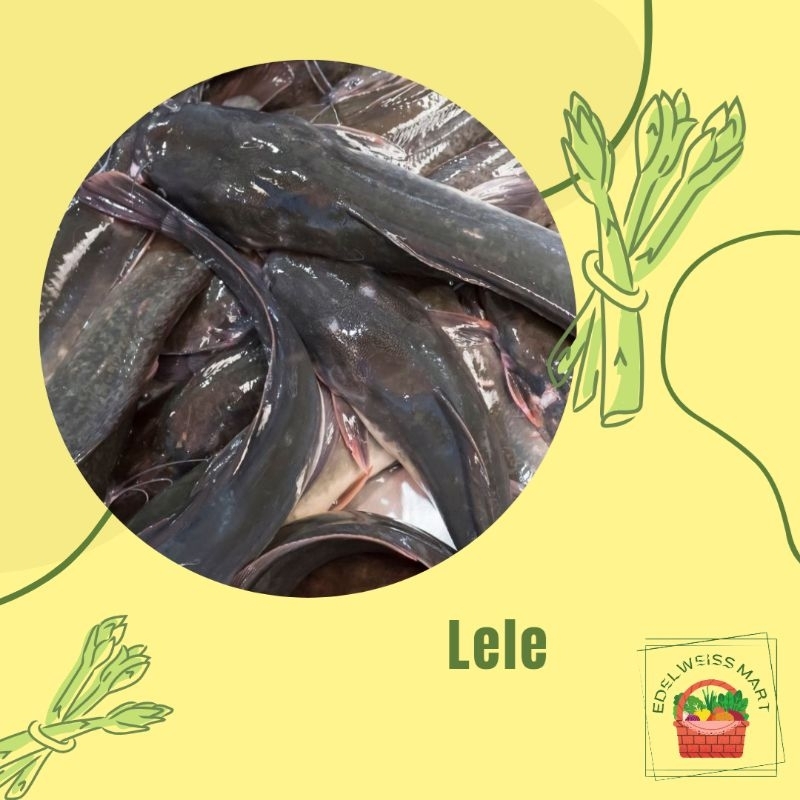 

IKAN LELE/LELE BUMBU KUNING/LELE SEGAR +-500g (FRESH) - INSTANT SEMARANG